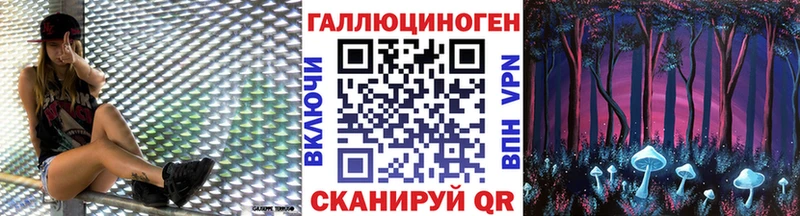 наркота  Иланский  Галлюциногенные грибы мицелий 